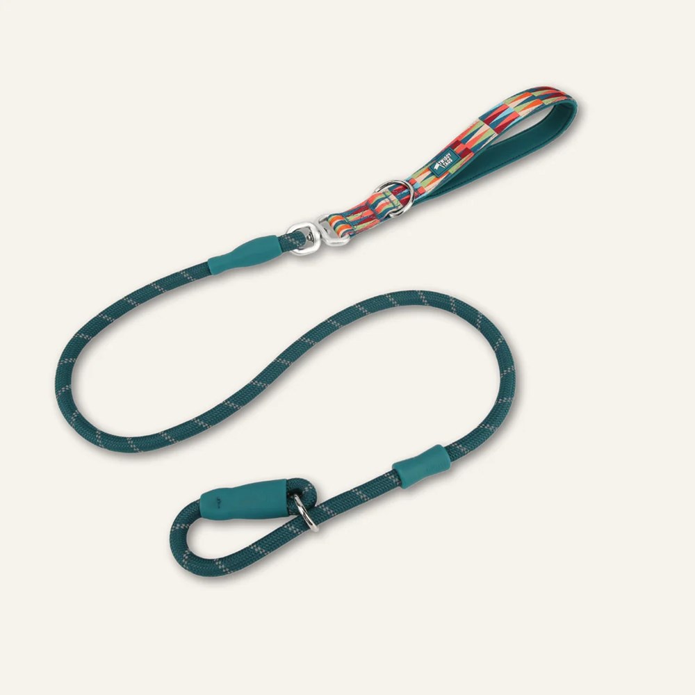 Twiggy Tags Horizon Dog Slip Lead Elixir