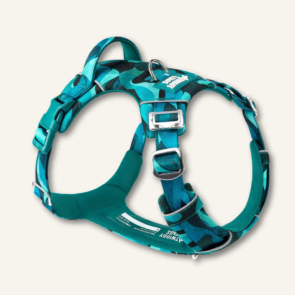 Twiggy Tags Adventure 2.0 Harness Lagoon Size 1