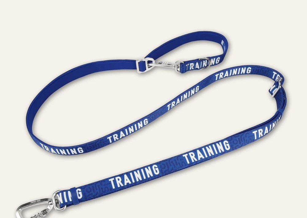 Twiggy Tags Awareness Multi-Way Lead - Training