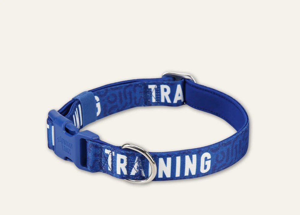Twiggy Tags Awareness Collar - Training XSmall