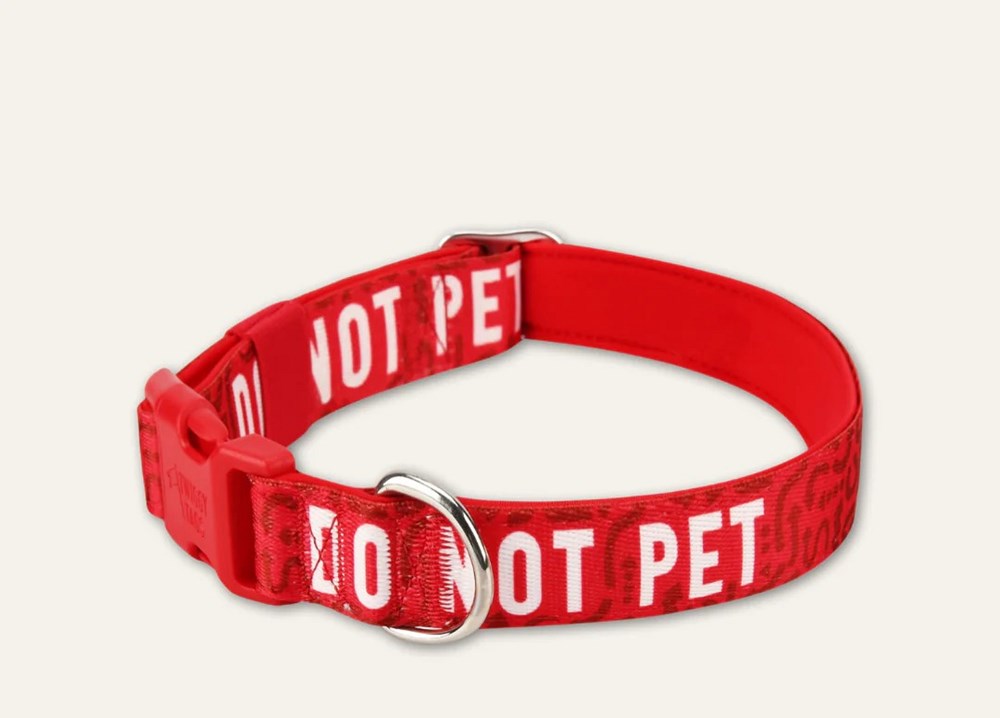 Twiggy Tags Awareness Collar - Do Not Pet XSmall