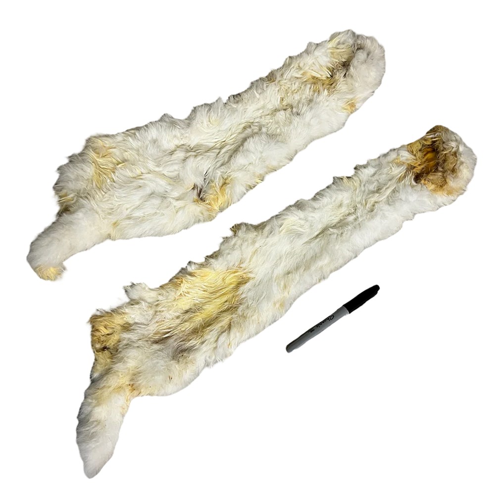 Rabbit Skins 20cm Each