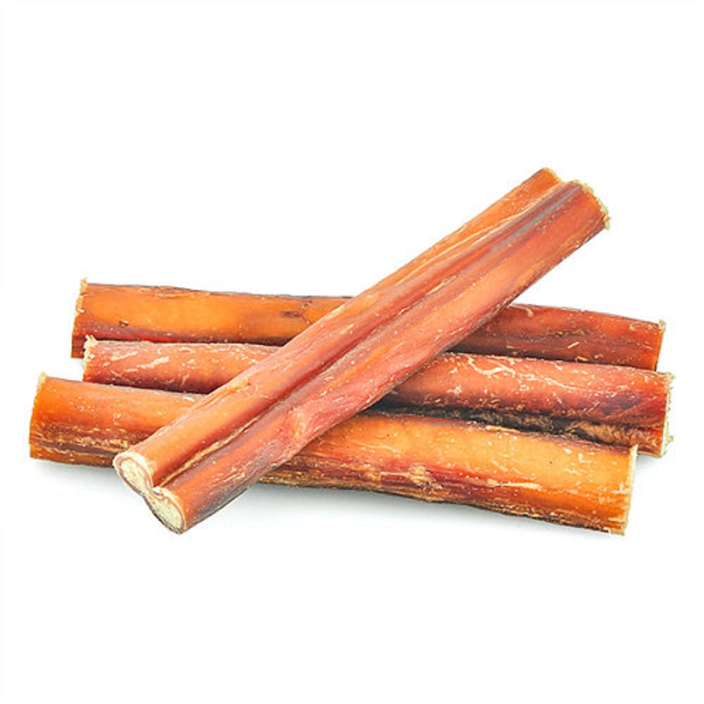 Regular Bulls Pizzle 20cm Each