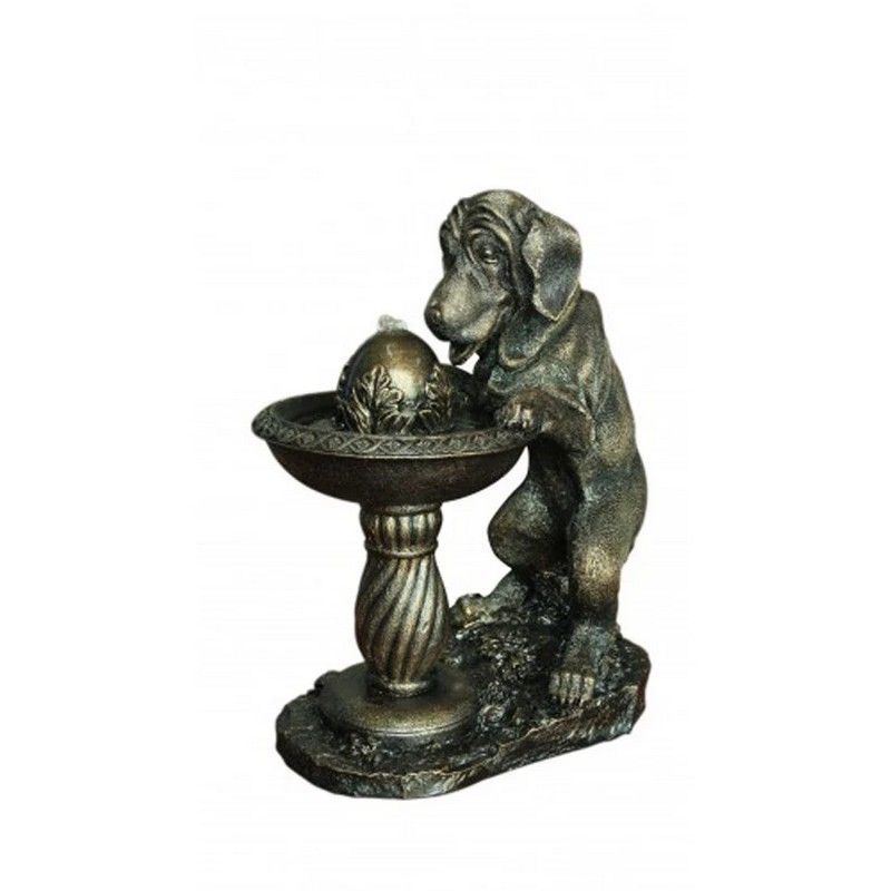 Dog At Fountain