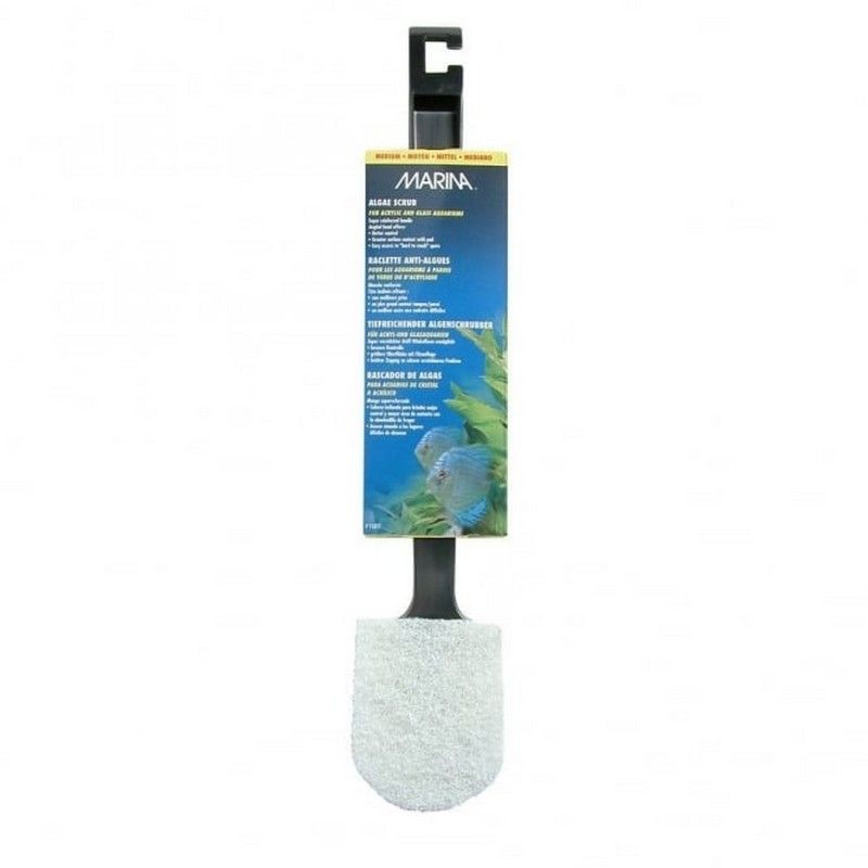 Marina Algae Scrub - Medium