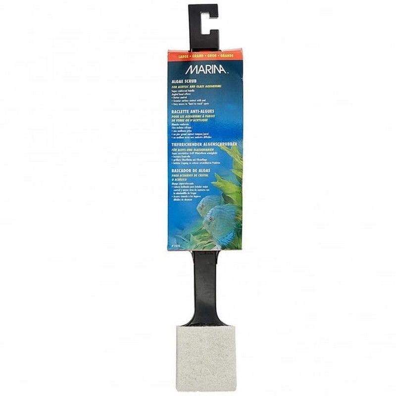 Marina Algae Scrub - Large