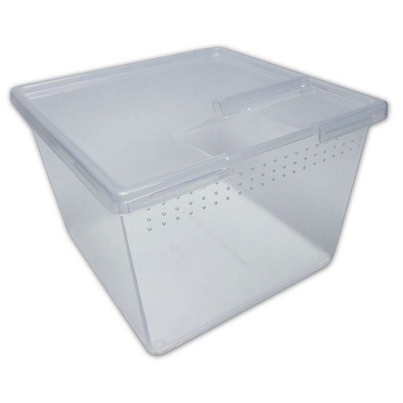 PL Square Container w/Flip Lid 24oz
