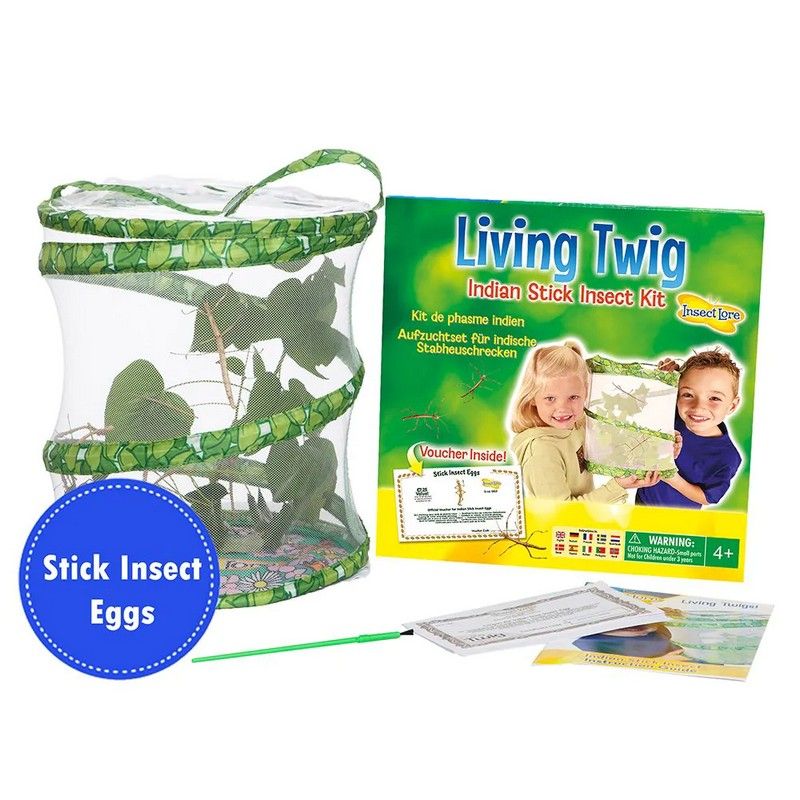 Insect Lore Living Twig Kit