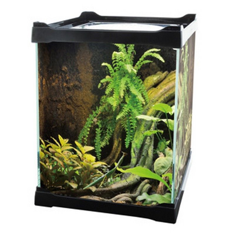 Betta Choice Black Mini Terrarium 16x16x30cm