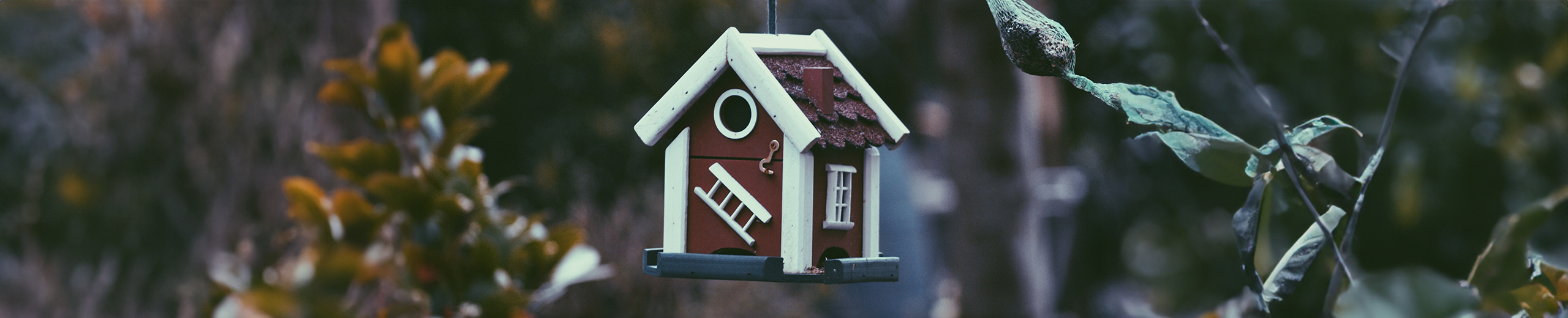 Bird Boxes & Houses