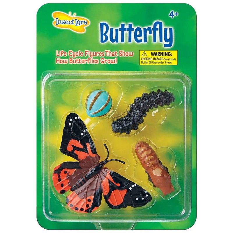 Insect Lore Life Cycle Figurines - Butterfly