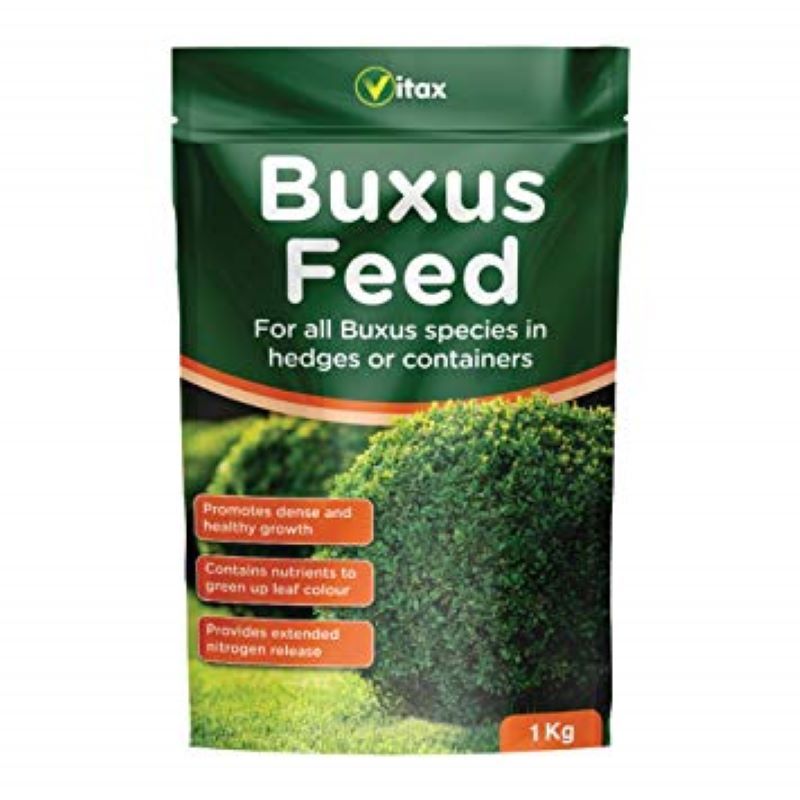 Buxus Feed NEW