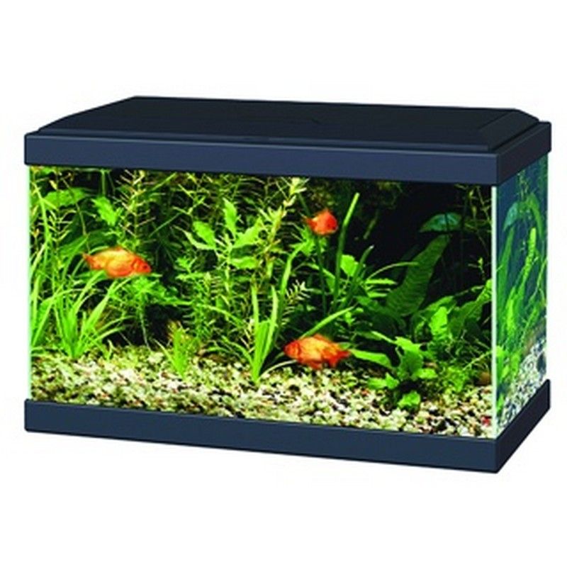 Ciano Aqua 20 Aquarium with Light - Black
