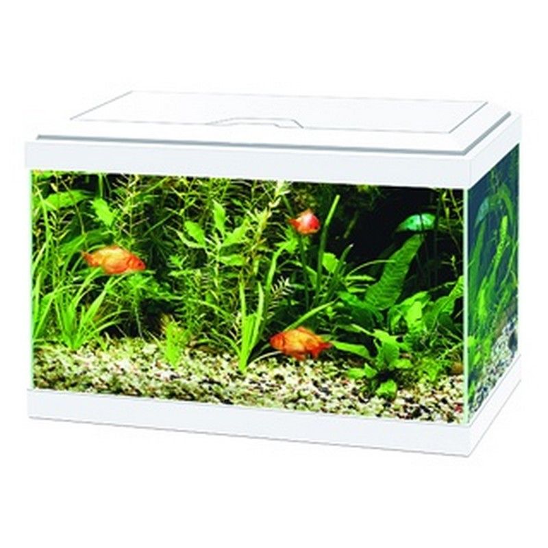 Ciano Aqua 20 Aquarium with Light -  White