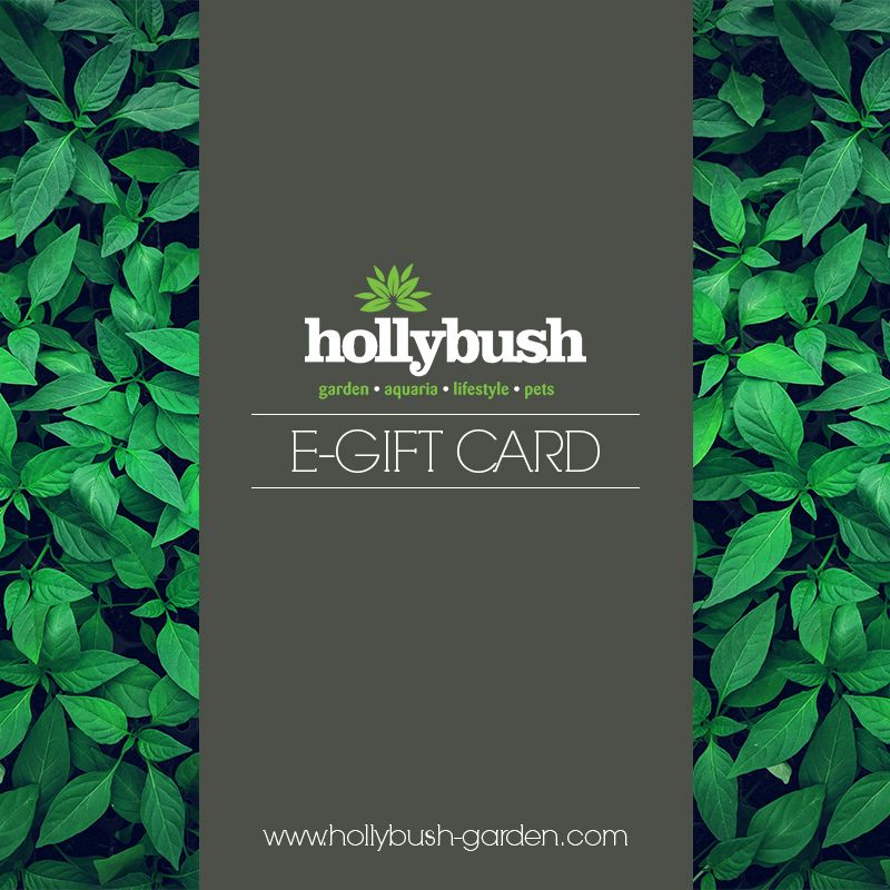 Hollybush E-Voucher