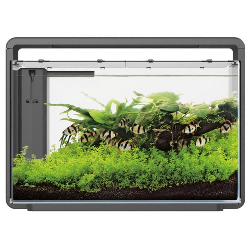 Superfish Home 65L  Black