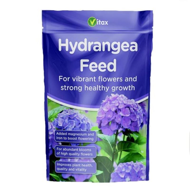 Hydrangea Feed NEW