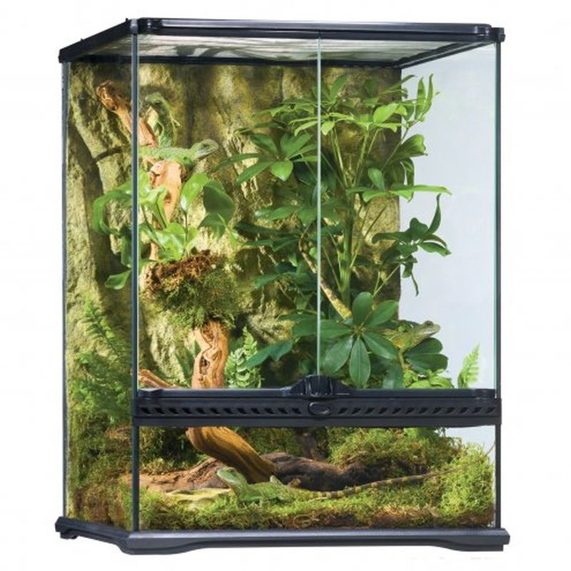 Natural Terrarium Small/Tall 45x45x60cm