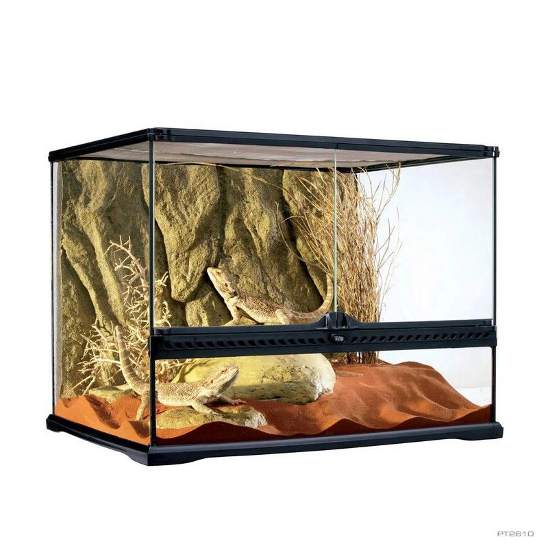 Natural Terrarium Medium/Wide 60x45x45cm