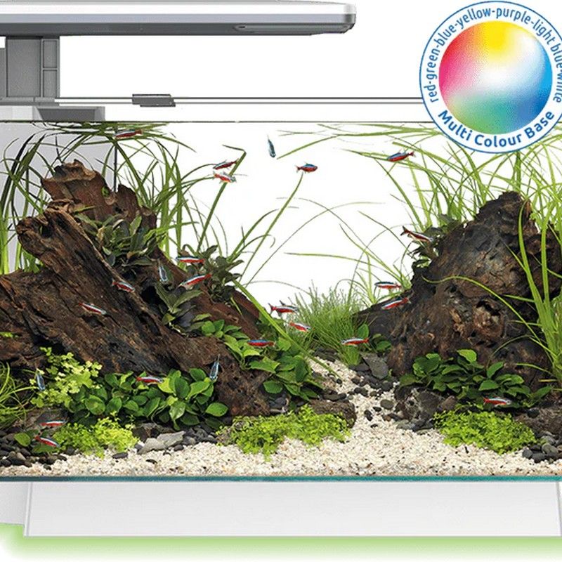 Superfish Quadro 70 Multicolour White