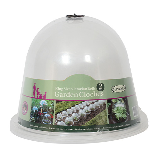 King Size Bell Cloche