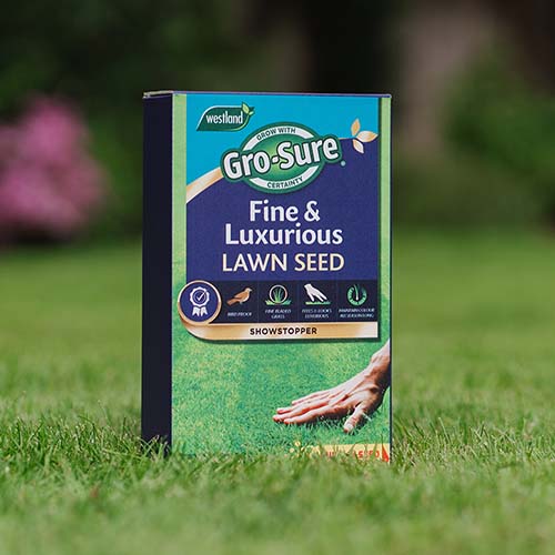 G/S Fine & Luxurious Lawn Seed 30m2