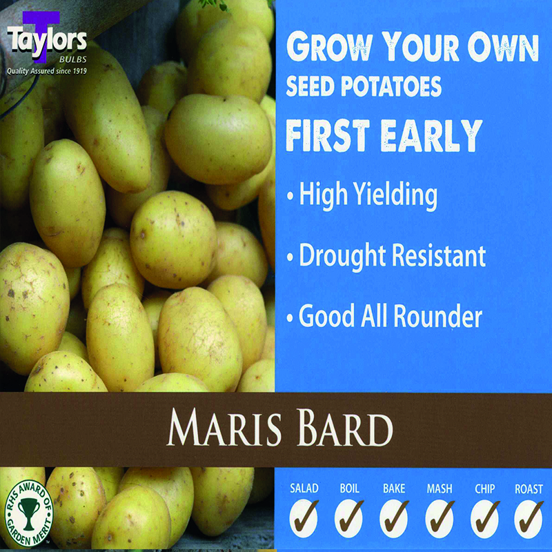 Seed Potato Maris Bard