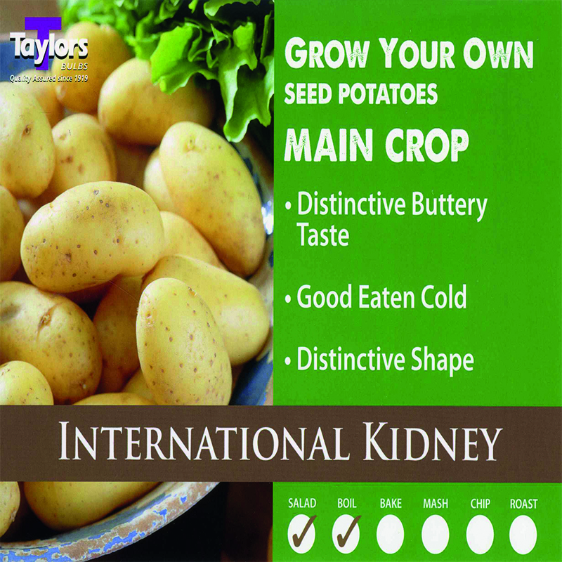 Seed Potato Int Kidney