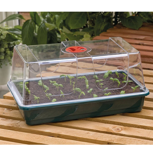 Large High Dome Propagator With Holes
