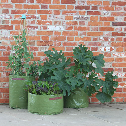 Vegetable Patio Planter - 3 Pack 