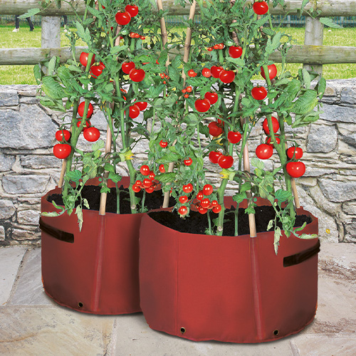 Tomato Patio Planter - 2 Pack