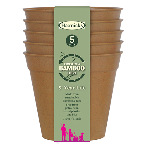 5" Terracotta Bamboo Pot - 5 Pack
