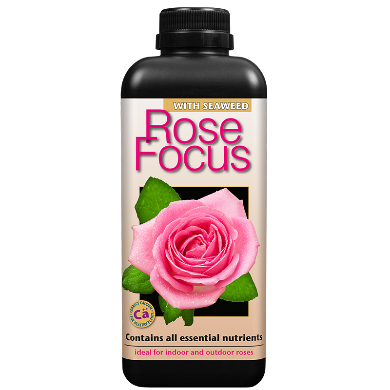 Rose Focus 1l