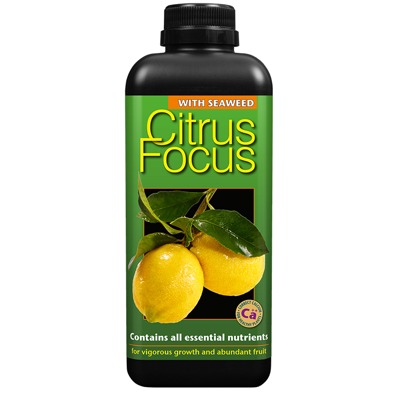 Citrus Focus 1l