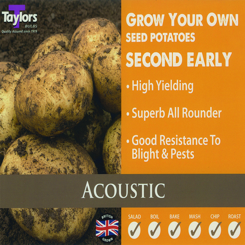 Seed Potato Accoustic
