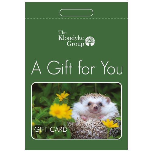Gift Card - Hedgehog