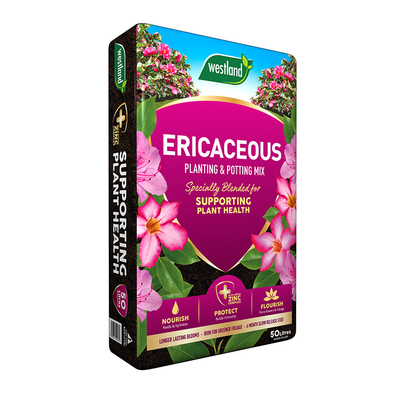 Ericaceous Planting & Potting Compost 50L