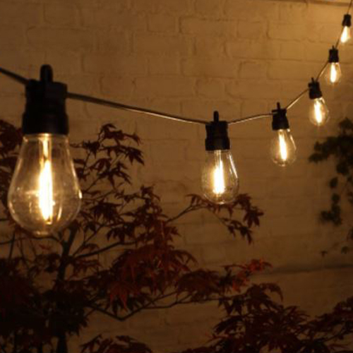 20 Edison Festoon Lights