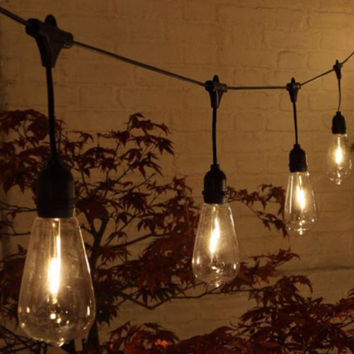 20 Large Edison Festoon Lights