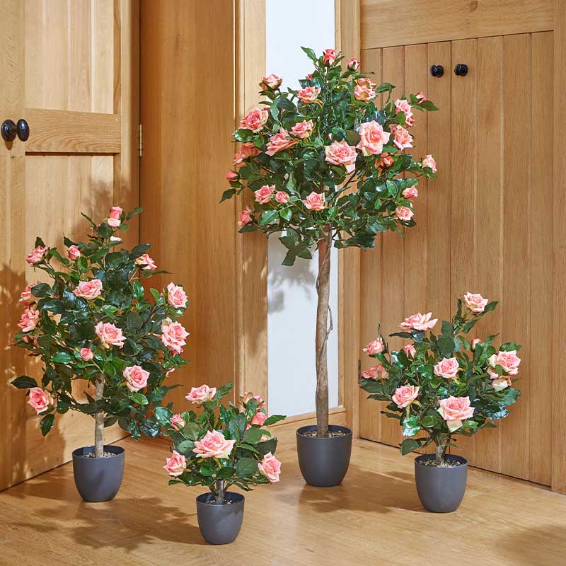 Rose Tree Perfect Pink 120cm