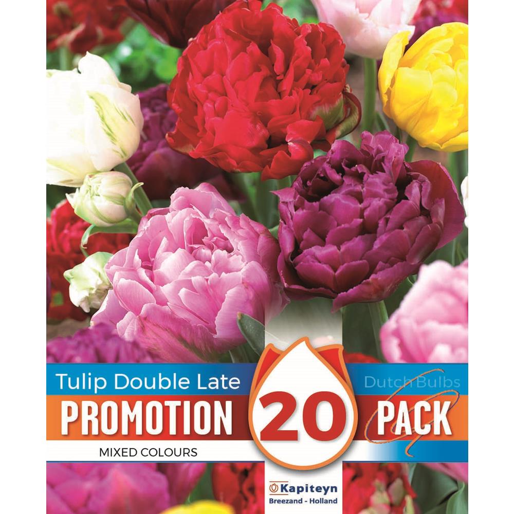 Promotional Tulip Double Mixed