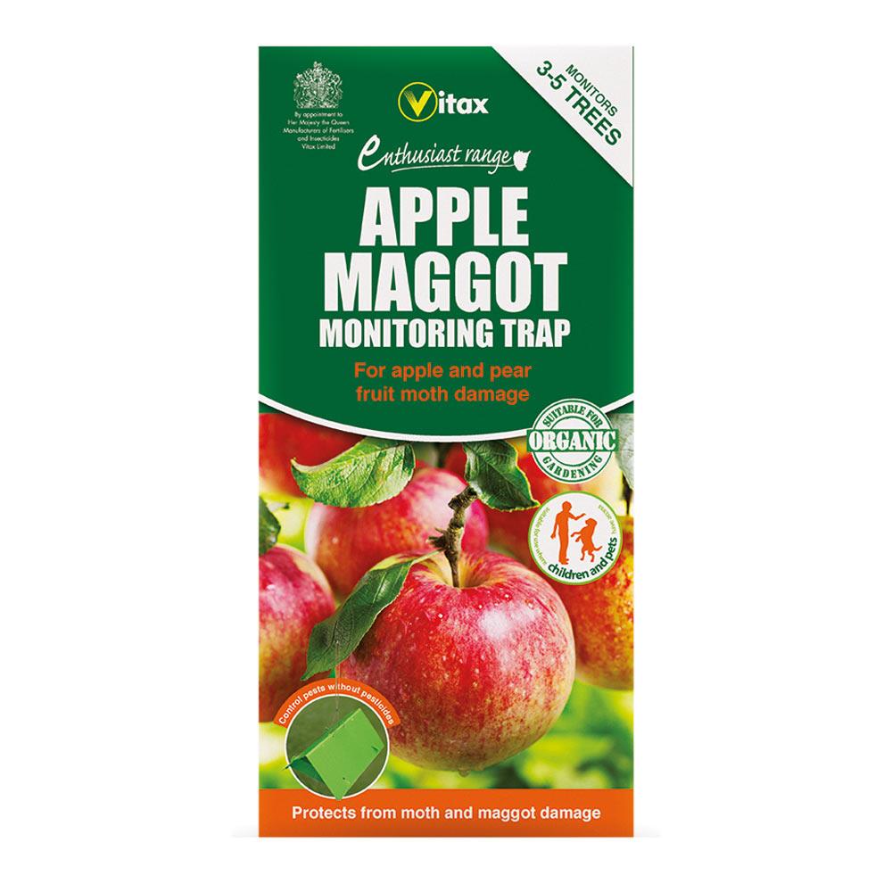 Apple Maggot Trap 1 Trap