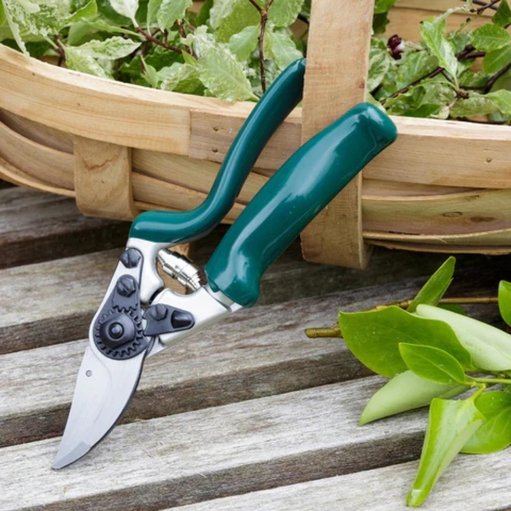 Rhs Professional Rotating Handle Bypass Secateur