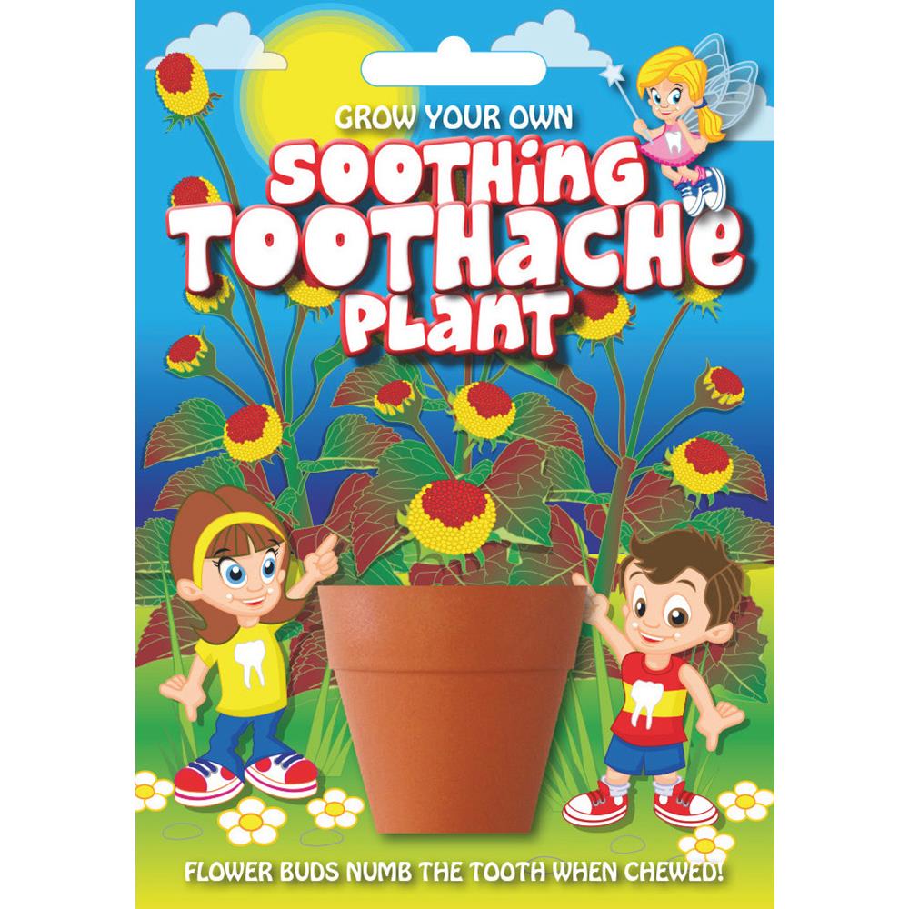 Fun Seeds-Toothache Plant