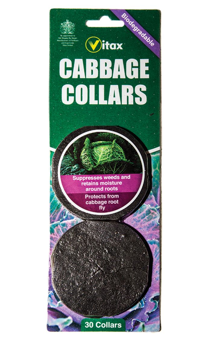 Cabbage Collars 30