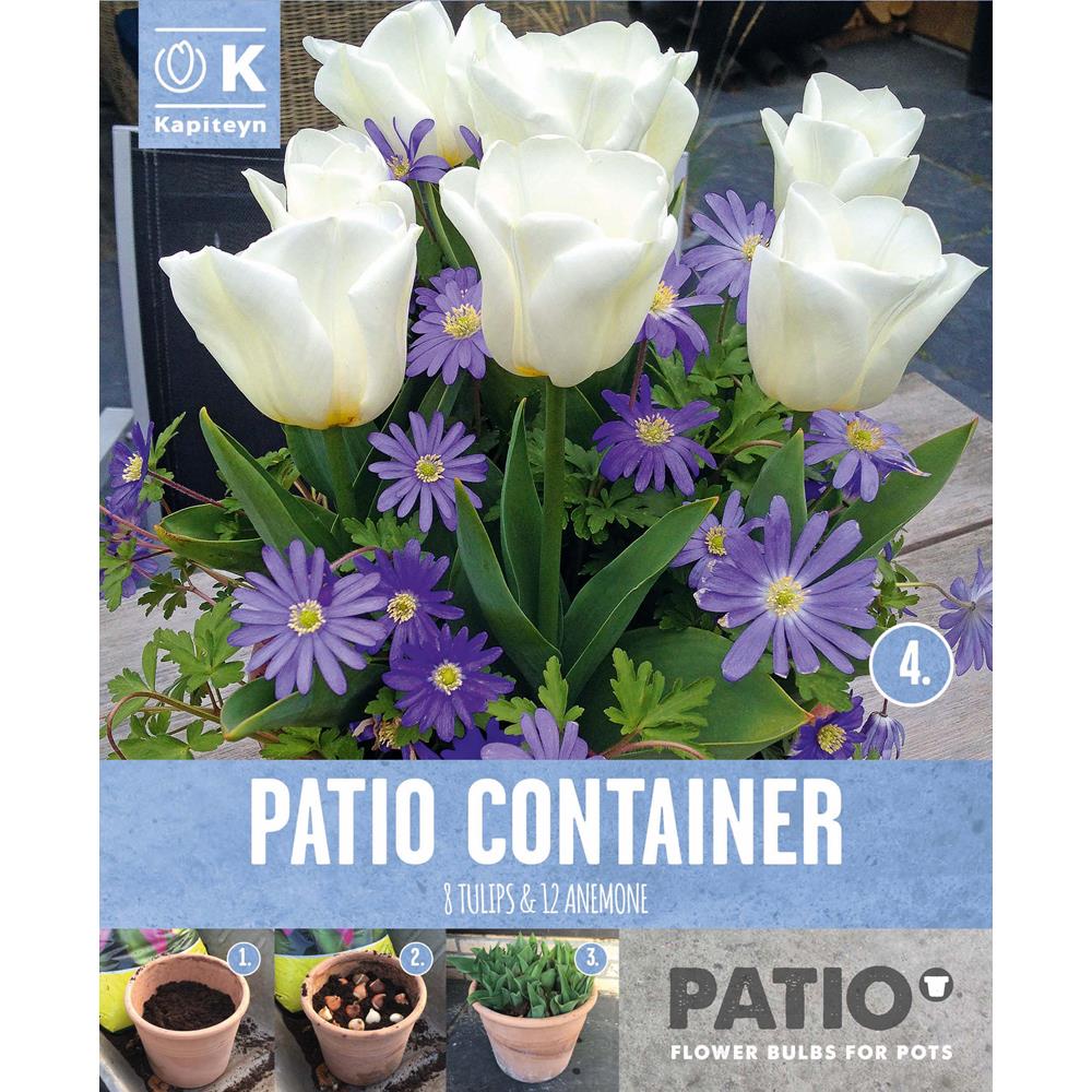 Patio Container (White Tulips & Blue Anemone)