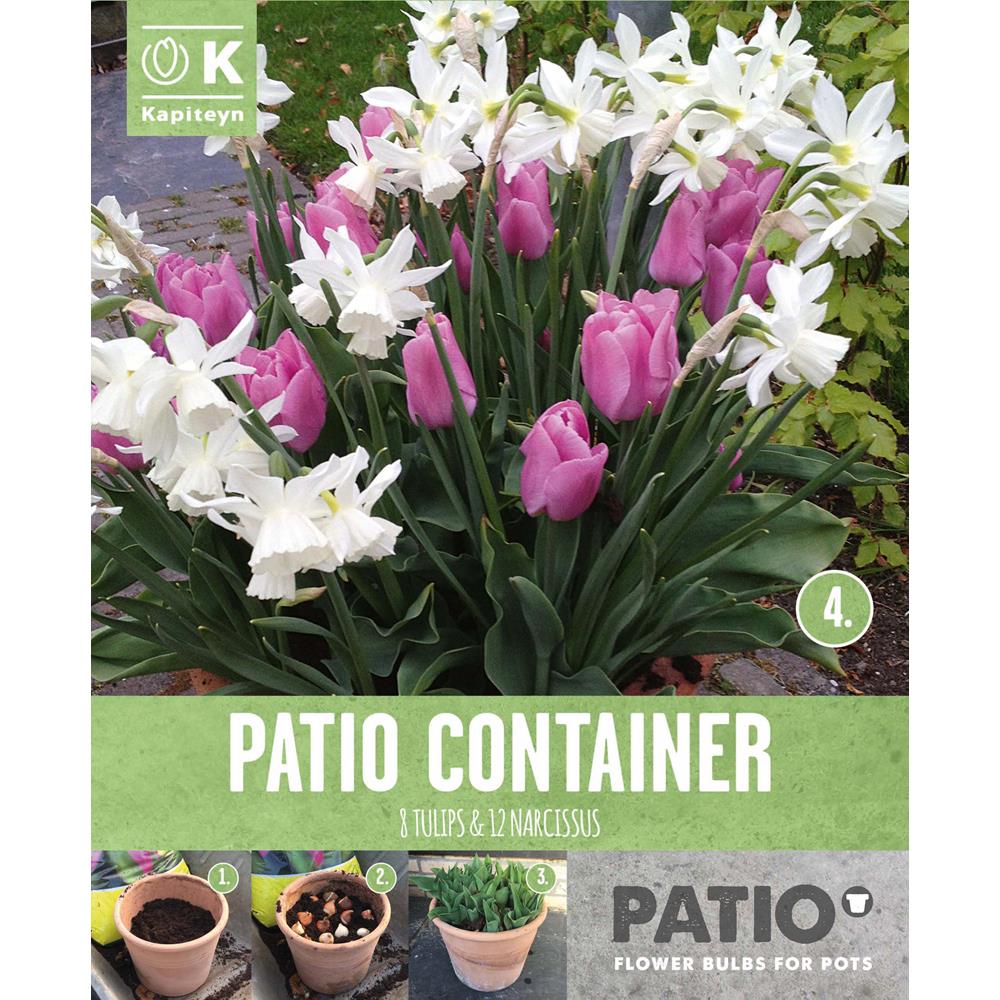 Patio Container (Pink Tulips & White Narcissus)