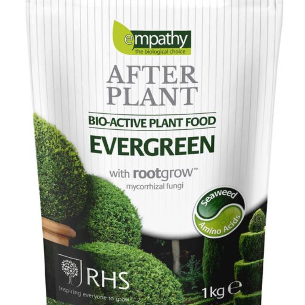 Empathy - After Plant Evergreen with rootgrow