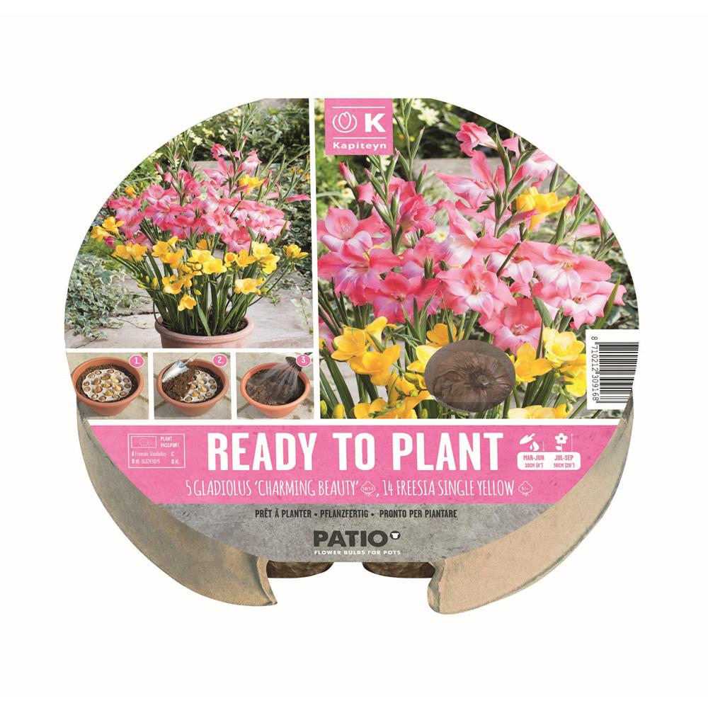 Plant-O-Mat arrangement Yellow and Pink
