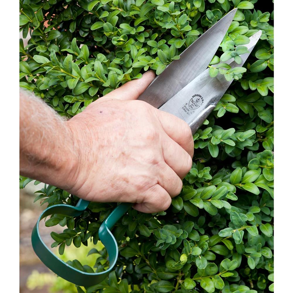 Rhs Topiary Trimming Shears - Large